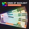 ZIYOU LANG K3 Mechanical Keyboard Ultra-Compact