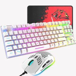 Teclado y mouse para juegos ZIYOU LANG T2- MOUSEPAD DE REGALO