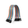 CABLE JUMPER DUPONT HEMBRA A MACHO 10CM/20UND